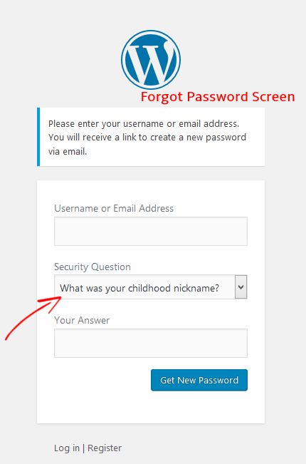 WP Security Lost Password