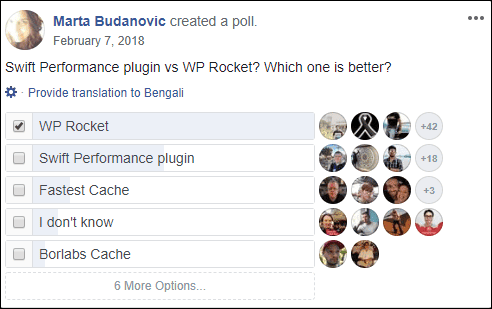 WP-Rocket-Facebook-Poll 02