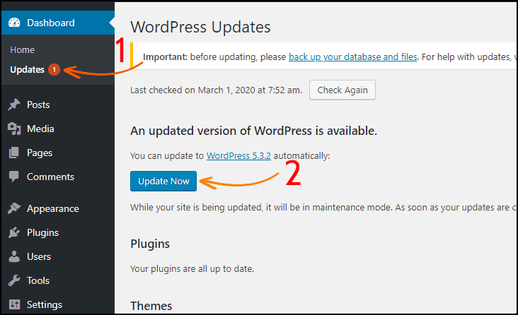 Update WordPress